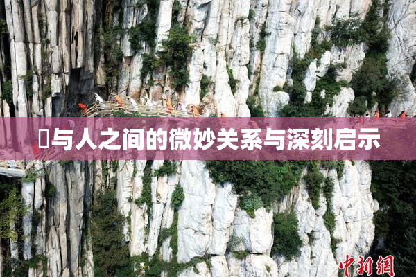 嘼与人之间的微妙关系与深刻启示