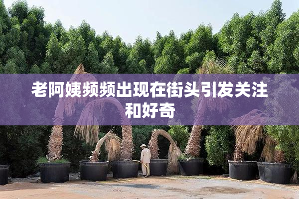 老阿姨频频出现在街头引发关注和好奇