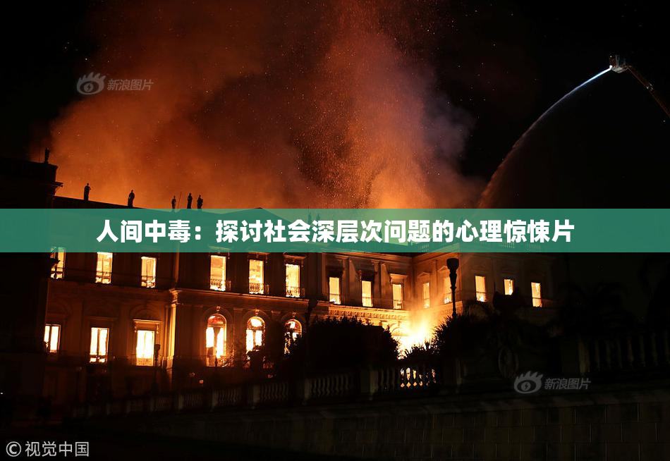 人间中毒：探讨社会深层次问题的心理惊悚片