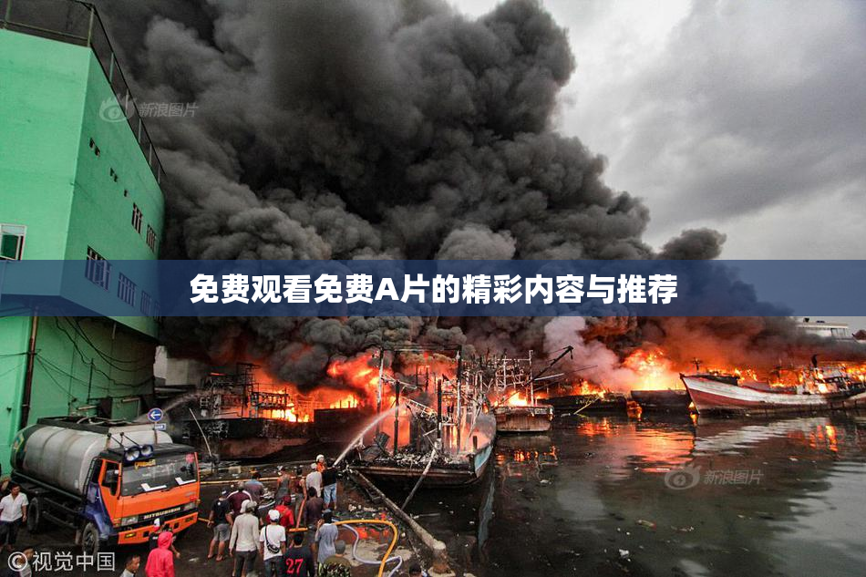 免费观看免费A片的精彩内容与推荐