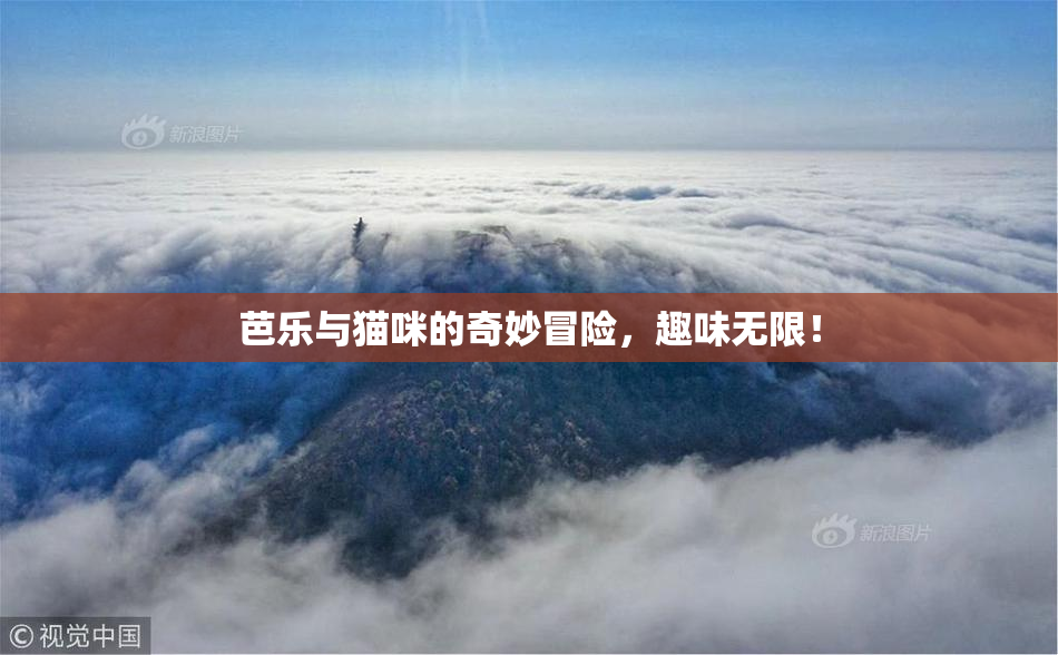 芭乐与猫咪的奇妙冒险，趣味无限！