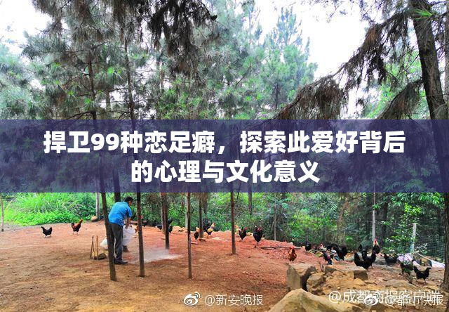 捍卫99种恋足癖，探索此爱好背后的心理与文化意义