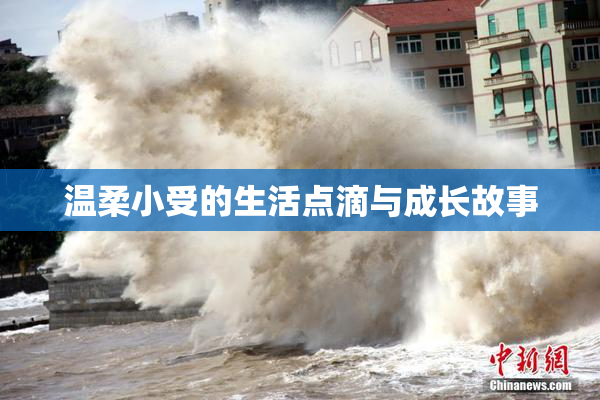 温柔小受的生活点滴与成长故事