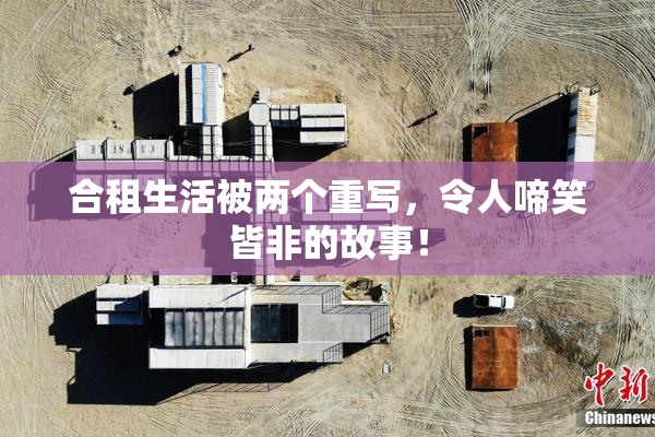 合租生活被两个重写，令人啼笑皆非的故事！
