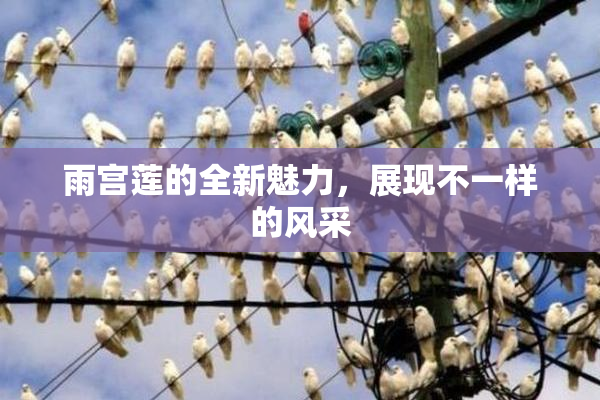 雨宫莲的全新魅力，展现不一样的风采