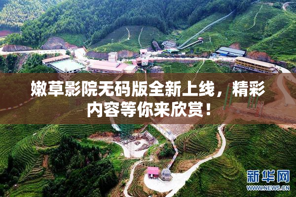 嫩草影院无码版全新上线，精彩内容等你来欣赏！
