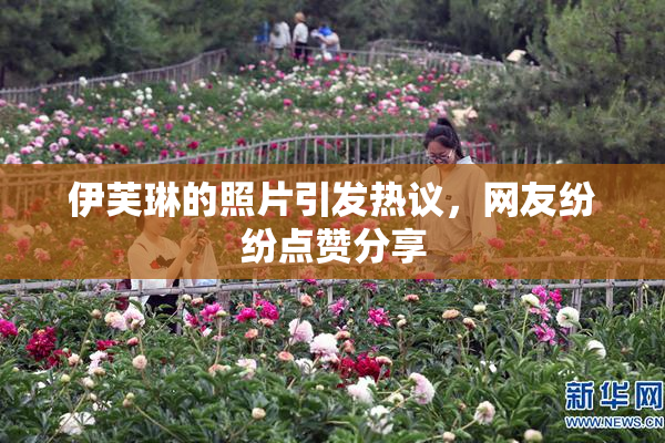 伊芙琳的照片引发热议，网友纷纷点赞分享