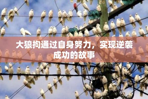 大狼拘通过自身努力，实现逆袭成功的故事