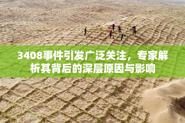 3408事件引发广泛关注，专家解析其背后的深层原因与影响