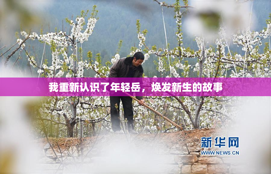 我重新认识了年轻岳，焕发新生的故事