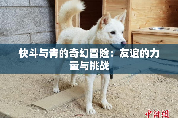 快斗与青的奇幻冒险：友谊的力量与挑战