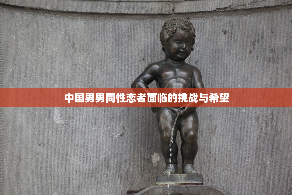 中国男男同性恋者面临的挑战与希望