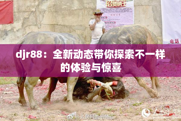 djr88：全新动态带你探索不一样的体验与惊喜