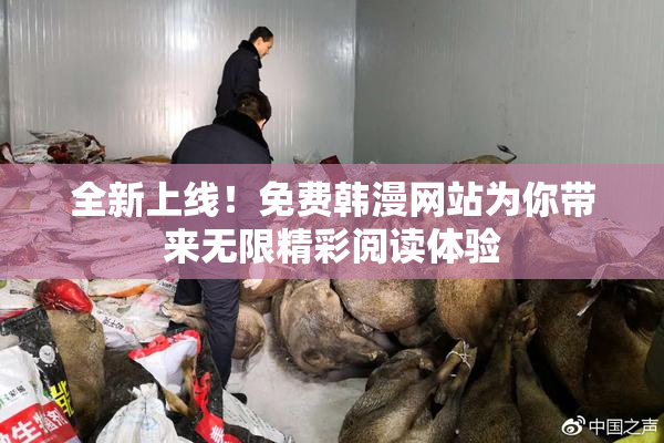 全新上线！免费韩漫网站为你带来无限精彩阅读体验