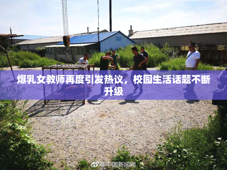 爆乳女教师再度引发热议，校园生活话题不断升级