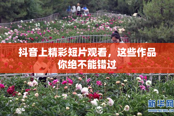 抖音上精彩短片观看，这些作品你绝不能错过