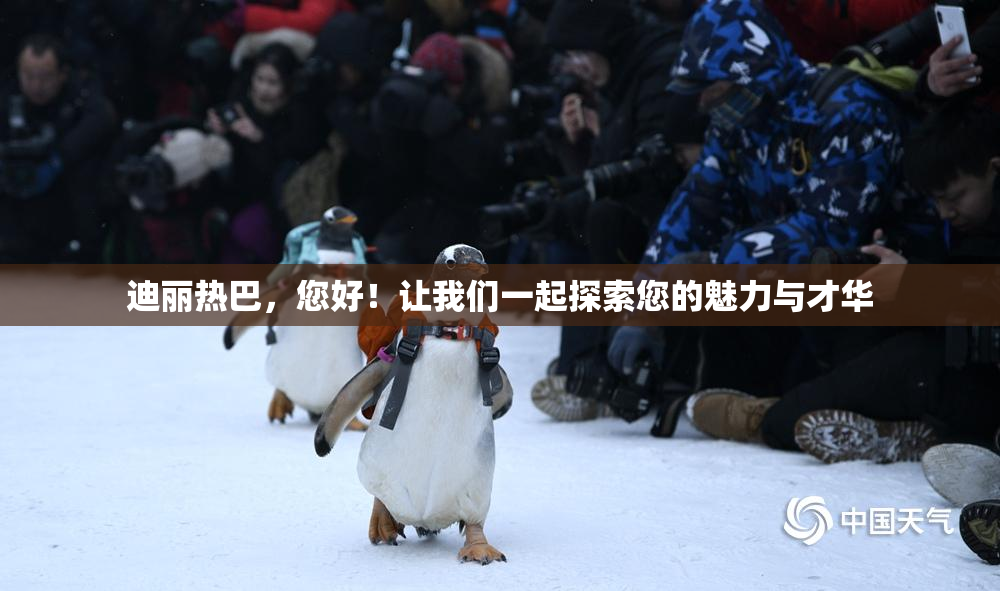 迪丽热巴，您好！让我们一起探索您的魅力与才华