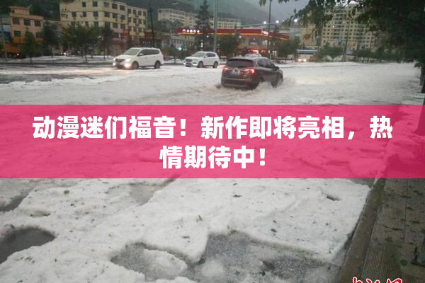 动漫迷们福音！新作即将亮相，热情期待中！