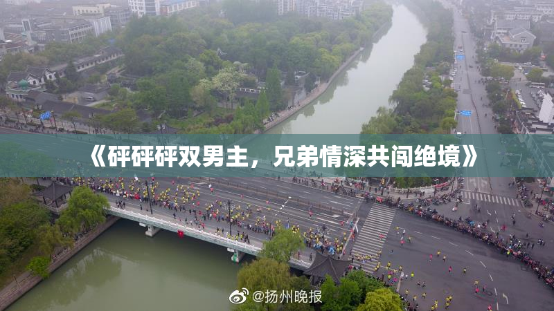《砰砰砰双男主，兄弟情深共闯绝境》