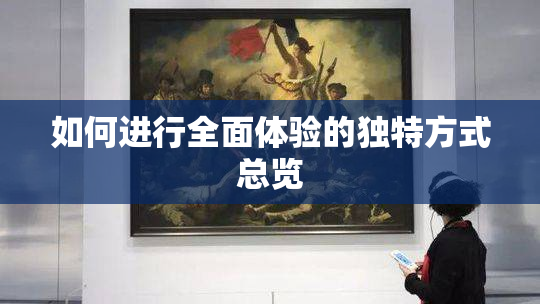 如何进行全面体验的独特方式总览