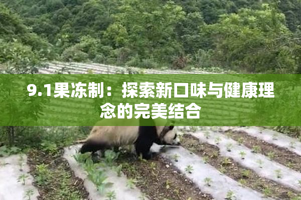 9.1果冻制：探索新口味与健康理念的完美结合