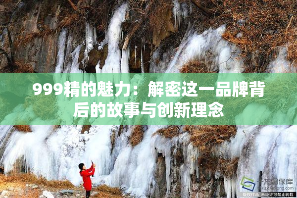 999精的魅力：解密这一品牌背后的故事与创新理念