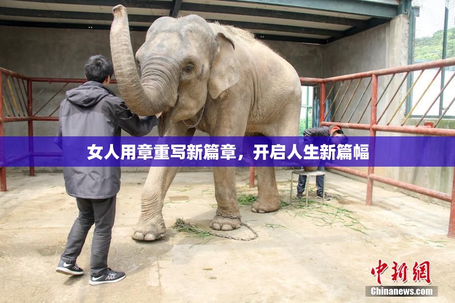 女人用章重写新篇章，开启人生新篇幅