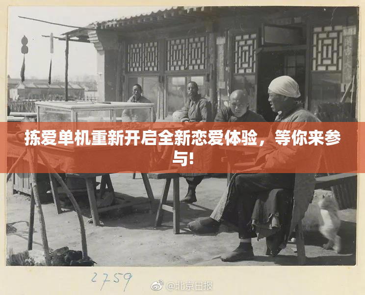 拣爱单机重新开启全新恋爱体验，等你来参与!