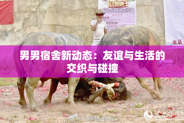 男男宿舍新动态：友谊与生活的交织与碰撞