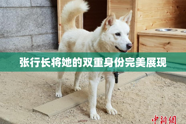 张行长将她的双重身份完美展现