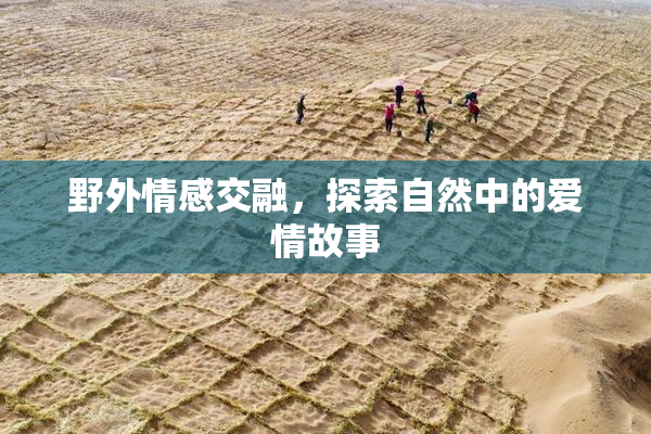 野外情感交融，探索自然中的爱情故事