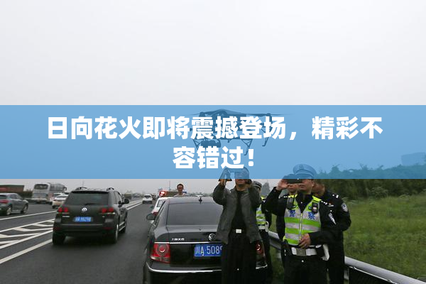 日向花火即将震撼登场，精彩不容错过！