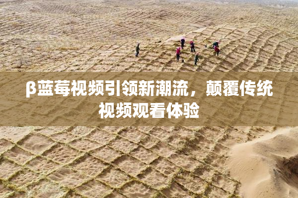 β蓝莓视频引领新潮流，颠覆传统视频观看体验