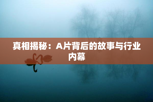 真相揭秘：A片背后的故事与行业内幕