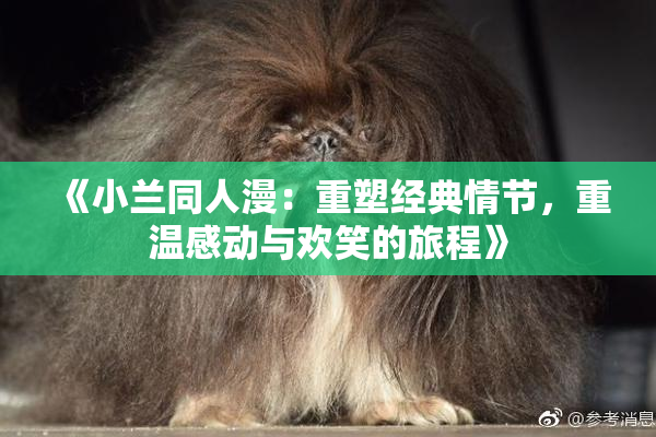 《小兰同人漫：重塑经典情节，重温感动与欢笑的旅程》