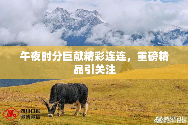 午夜时分巨献精彩连连，重磅精品引关注