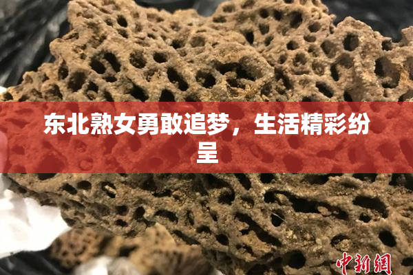 东北熟女勇敢追梦，生活精彩纷呈