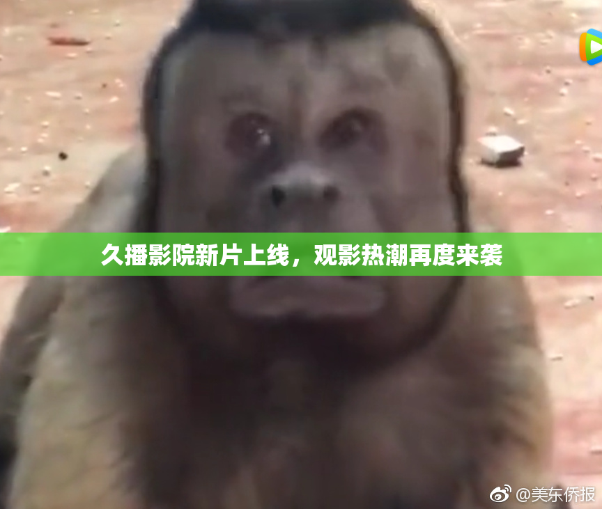 久播影院新片上线，观影热潮再度来袭