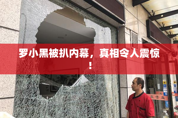 罗小黑被扒内幕，真相令人震惊！