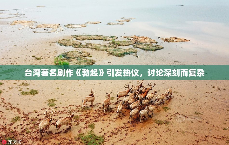 台湾著名剧作《勃起》引发热议，讨论深刻而复杂