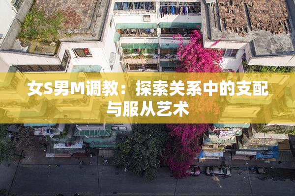 女S男M调教：探索关系中的支配与服从艺术