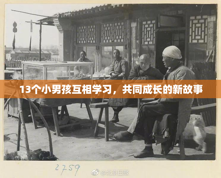 13个小男孩互相学习，共同成长的新故事