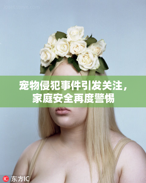 宠物侵犯事件引发关注，家庭安全再度警惕