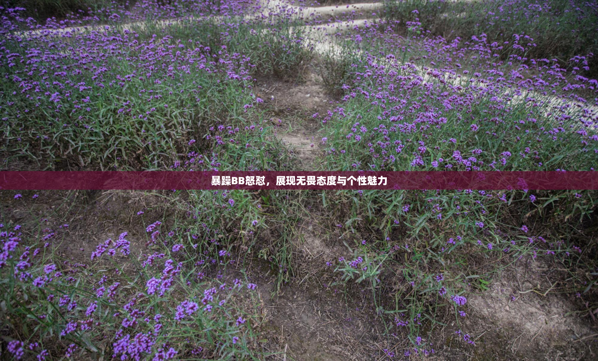 暴躁BB怒怼，展现无畏态度与个性魅力