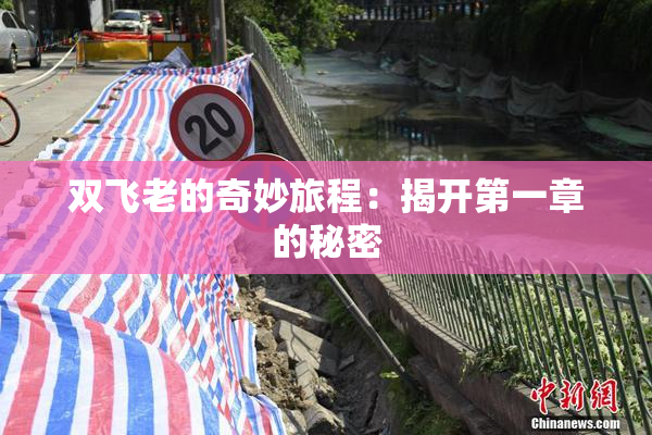 双飞老的奇妙旅程：揭开第一章的秘密