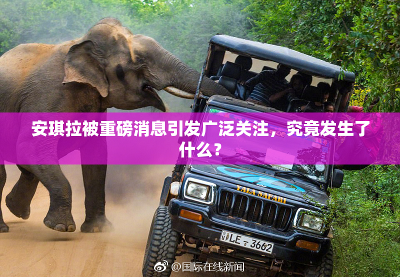安琪拉被重磅消息引发广泛关注，究竟发生了什么？