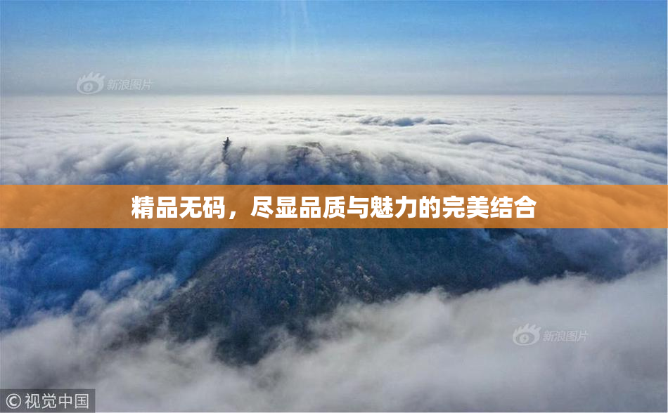 精品无码，尽显品质与魅力的完美结合