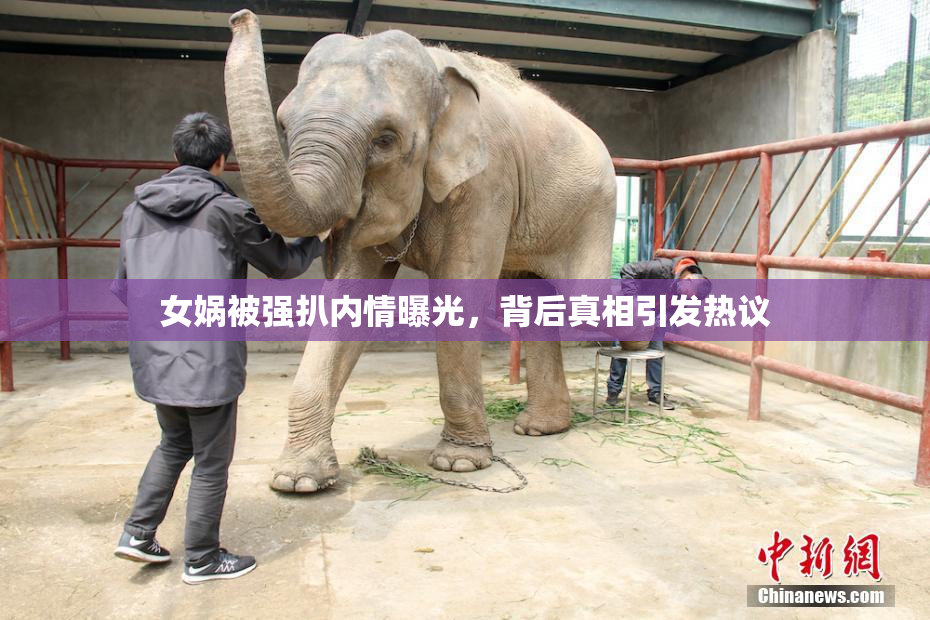 女娲被强扒内情曝光，背后真相引发热议