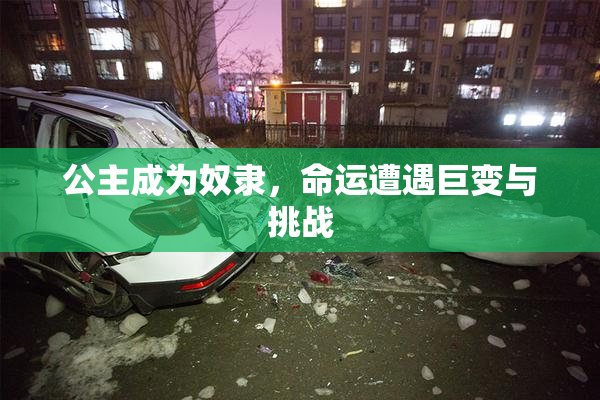 公主成为奴隶，命运遭遇巨变与挑战