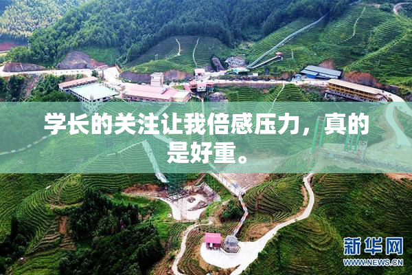 学长的关注让我倍感压力，真的是好重。